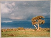 Edge of the Ngoro Ngoro Crater - Tanzania