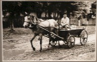 Local Transport - Romania