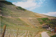 The Ahr Wine-growing Region, Germany  III