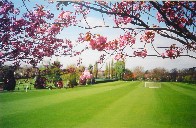 Spring Colours at the Bank of England Sports Club