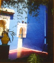 Blue Majorelle - Marrakesh  I