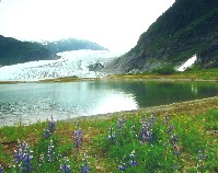 Mendenhall Glacier - Juneau