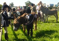 Oxted & Edenbridge Show 2005 - 2