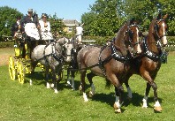 Oxted & Edenbridge Show 2005 - 4