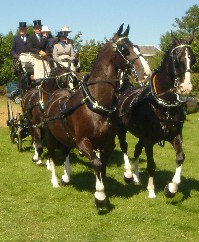 Oxted & Edenbridge Show 2005 - 5