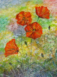 Poppies