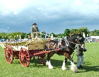 The Hay Wain